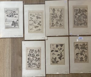Katsushika Hokusai - 22 bijzondere houtsneden! kopen? Bied vanaf 300!
