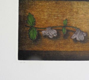 Tomoe Yokoi - Stilleven met Sakebottle - mezzotint-ets - handgesigneerd - genummerd 16/150 kopen? Bied vanaf 225!