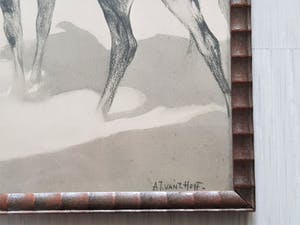 Niet of onleesbaar gesigneerd - Lot van 7 Verschillende prentjes - Gesigneerd kopen? Bied vanaf 1!