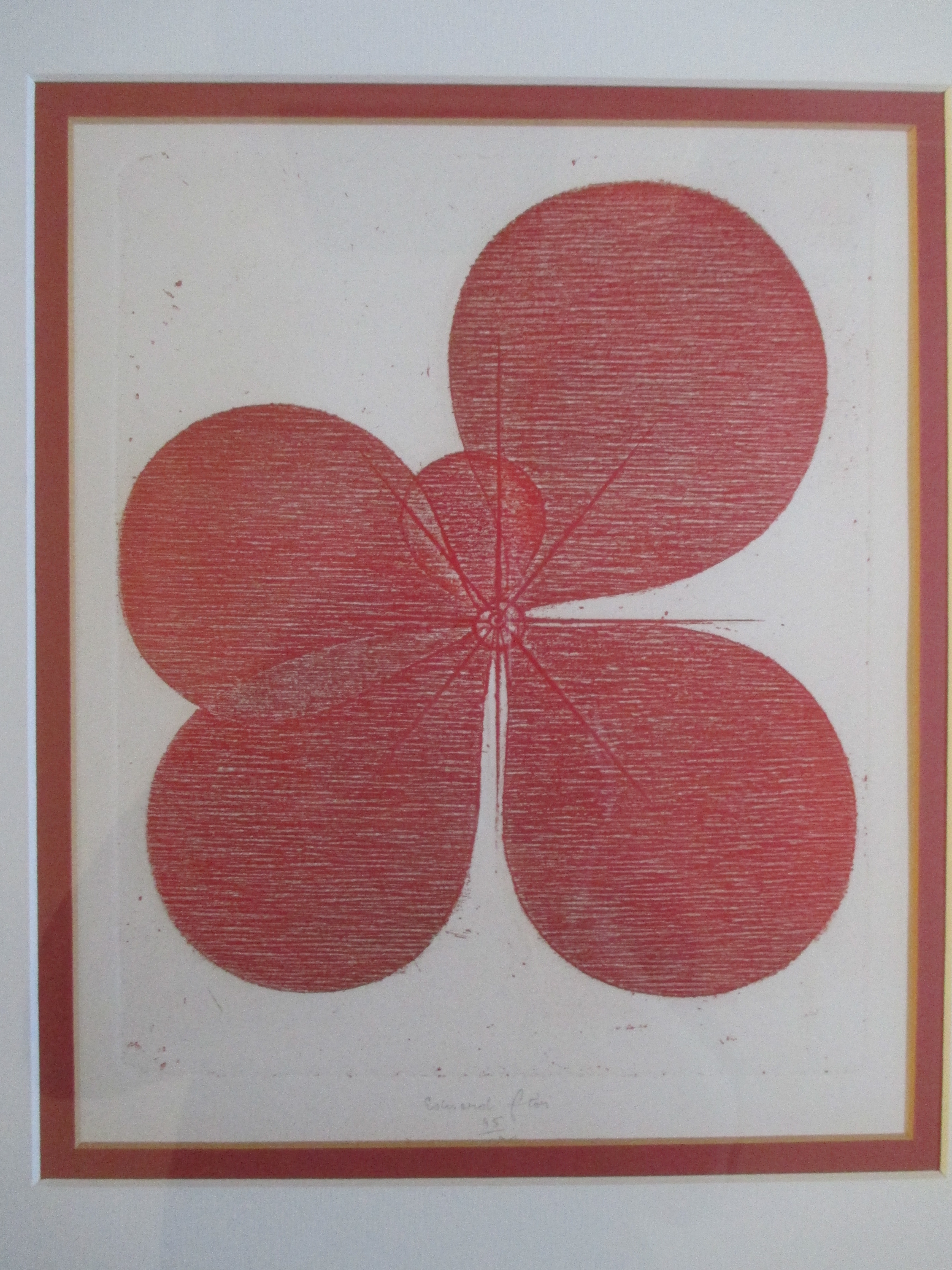 Eduard Flor - Ingelijste kleurenets Barth lijst verkocht voor € 75!