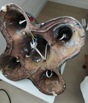 Joost van den Toorn - IJsheiligen kopen? Bied vanaf 1200!