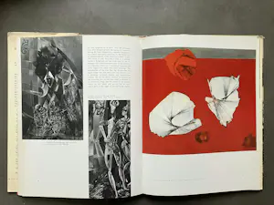 Max Ernst - Homage to Max Ernst kopen? Bied vanaf 30!