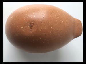 Deirdre MacLoughlin - uniek object uit de serie I AM TOO kopen? Bied vanaf 200!