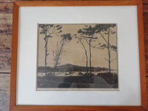 Tjipke visser - " De Nok " te Bergen Noord Holland..... kopen? Bied vanaf 90!