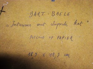 Bart Baele - Belgie - Doorleefde Kunst - Tekening - slapende Kat - gesigneerd 1997 kopen? Bied vanaf 1!