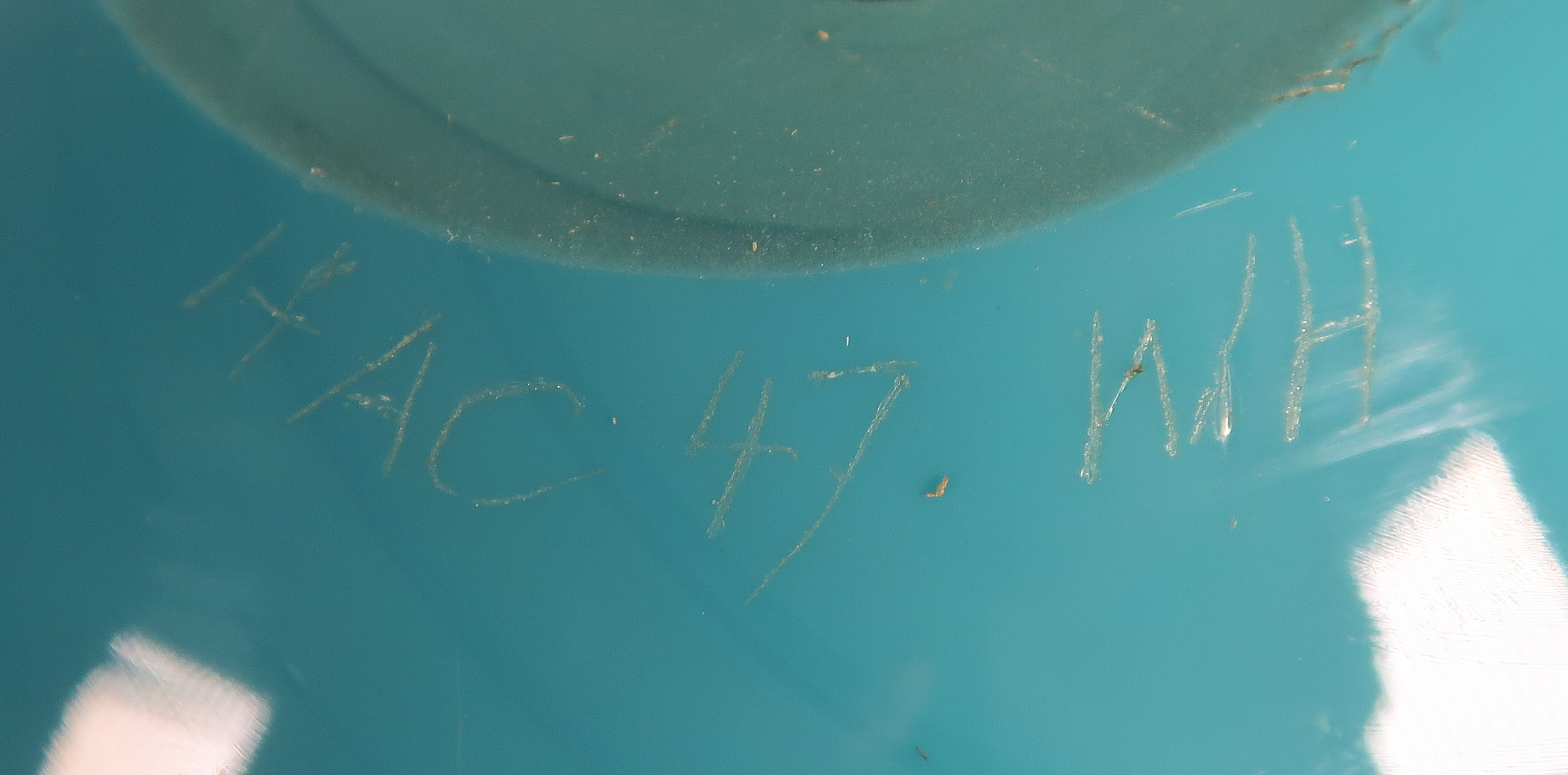Willem Heesen - Glas, unica Bol kopen? Bied vanaf 80!
