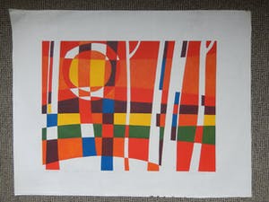 Gijsbert Jan van Koppenhagen - Zon en bos kopen? Bied vanaf 35!