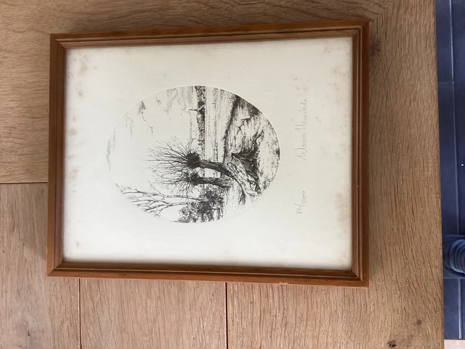 Warner Hemstede (1945)