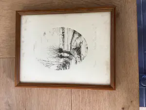 Warner Hemstede - Knotwilgen aan slootwal met dorpsgezicht kaufen? Bieten Sie von 60!