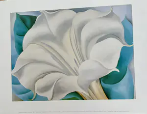 Georgia O’Keeffe - Set van drie prints,Klaproos,Trompetbloem en Bladeren Patroon kopen? Bied vanaf 30!