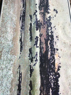 Filippa de Boer - Genummerd op de achterzijde F69 kopen? Bied vanaf 50!