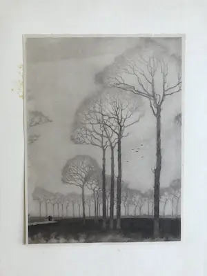 Jan Mankes - Heliogravure De Bomenrij (Mooi ingelijst) kopen? Bied vanaf 75!