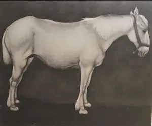 Jan Mankes - Originele Heliogravure Wit Paard 1923 kopen? Bied vanaf 1!