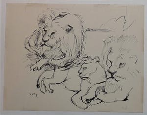 Wim Motz - 4 tekeningen van leeuwen/leeuwinnen kopen? Bied vanaf 45!