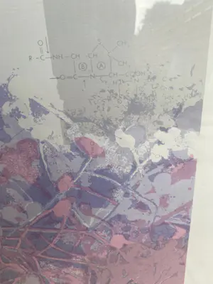 Martin R. Baeyens - MUCOR kaufen? Bieten Sie von 50!