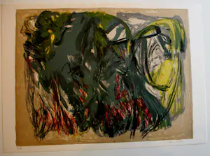 Pierre Wemaëre - Litho kopen? Bied vanaf 125!