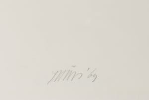 David van de Kop - Zeefdruk, Situatie rode band - Ingelijst kopen? Bied vanaf 40!