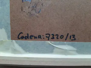 Alexander Lichtveld - Aquarel, Paus. kopen? Bied vanaf 40!