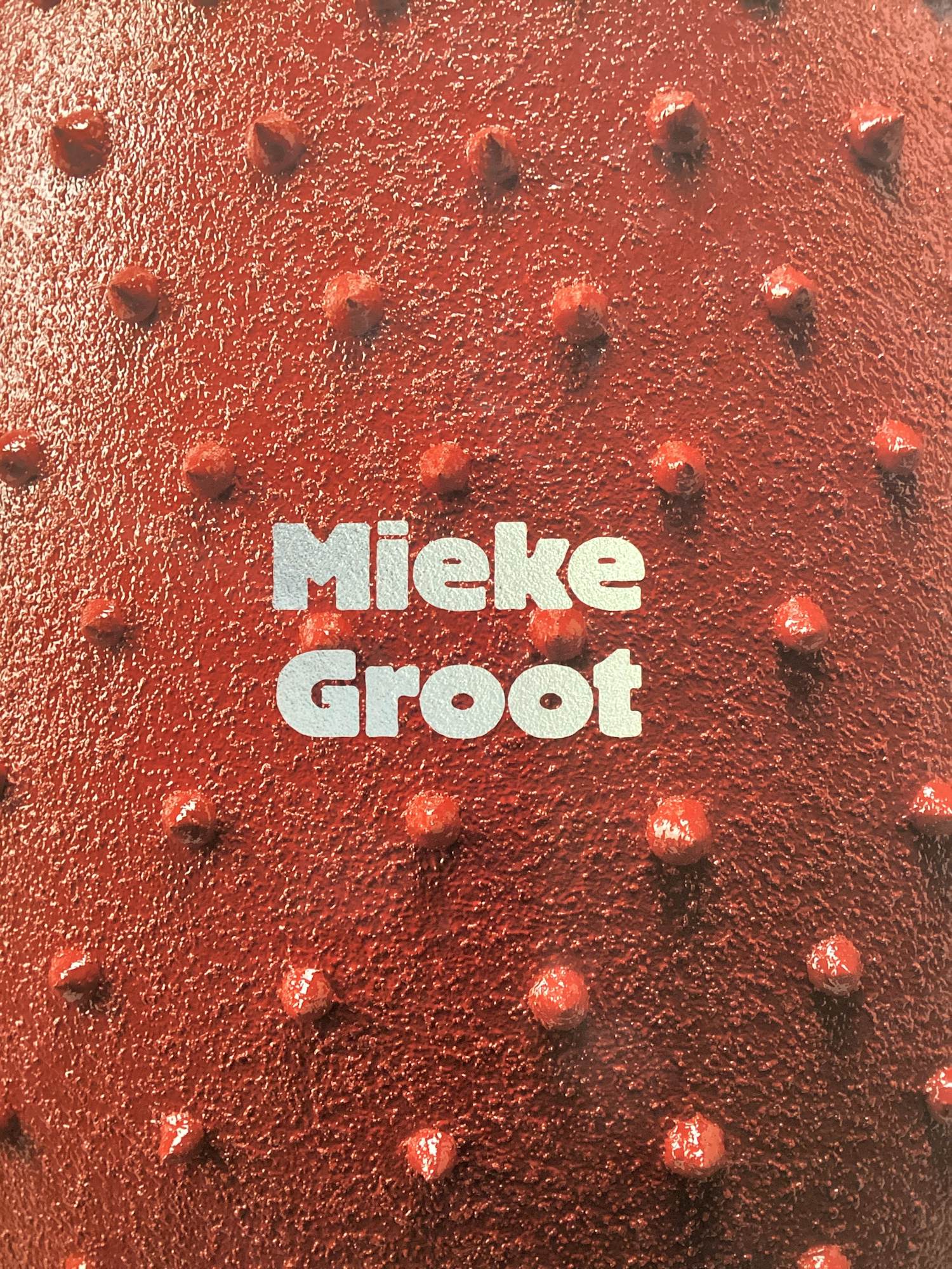 Mieke Groot - Behind Glass - boekwerk kopen? Bied vanaf 35!
