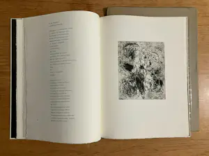 Asger Jorn - C. Caspari:Fridhof der Maulwürfe (talpa euroaea) oder geländegänge in tagesläufn kopen? Bied vanaf 1990!