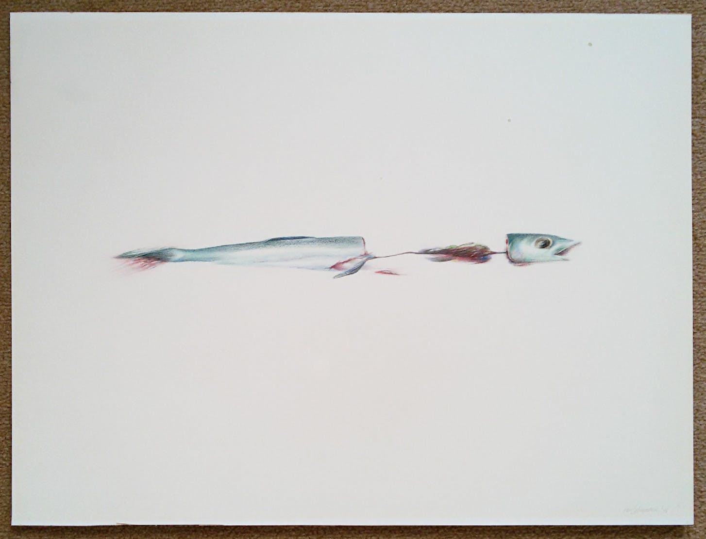 Ton Scheerder - Verse vis, tekening op papier kopen? Bied vanaf 20!