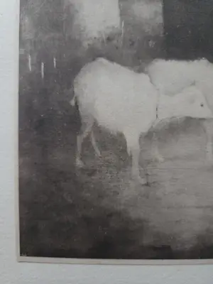 Jan Mankes - Twee geitjes kopen? Bied vanaf 39!