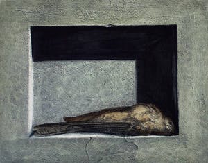 Jean Paul Vroom - Ingekleurde ets 'Vogel in nis' (1951) kopen? Bied vanaf 80!