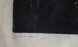 Jac. de Beer - Dahlia kopen? Bied vanaf 40!