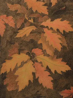 Roelf Gerbrands - Fazanten in het bos kopen? Bied vanaf 100!