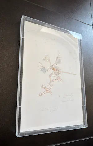 Panamarenko - Offsetprint “Persis clambatta “ kopen? Bied vanaf 475!