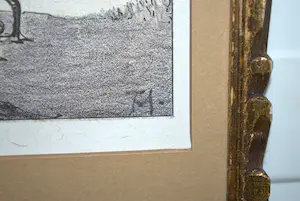 Theo van Hoytema - Meerkoeten - litho kopen? Bied vanaf 30!