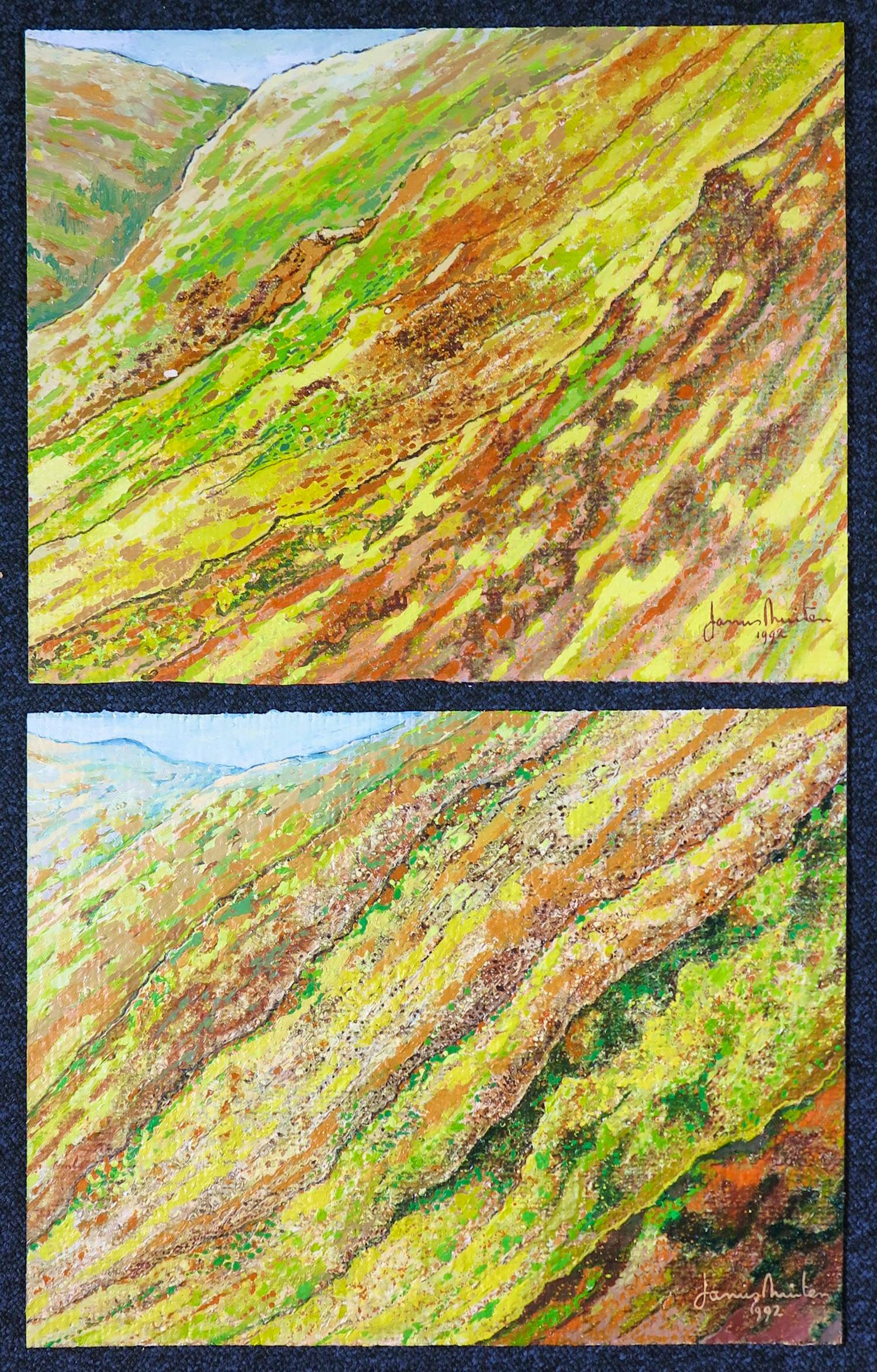 Janus Nuiten - Olieverf op doek, Twee landschappen kopen? Bied vanaf 100!