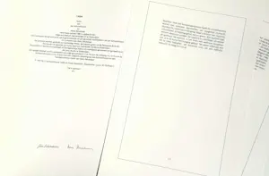 Jan Schoonhoven - Jan Schoonhoven, Vorm kopen? Bied vanaf 1500!