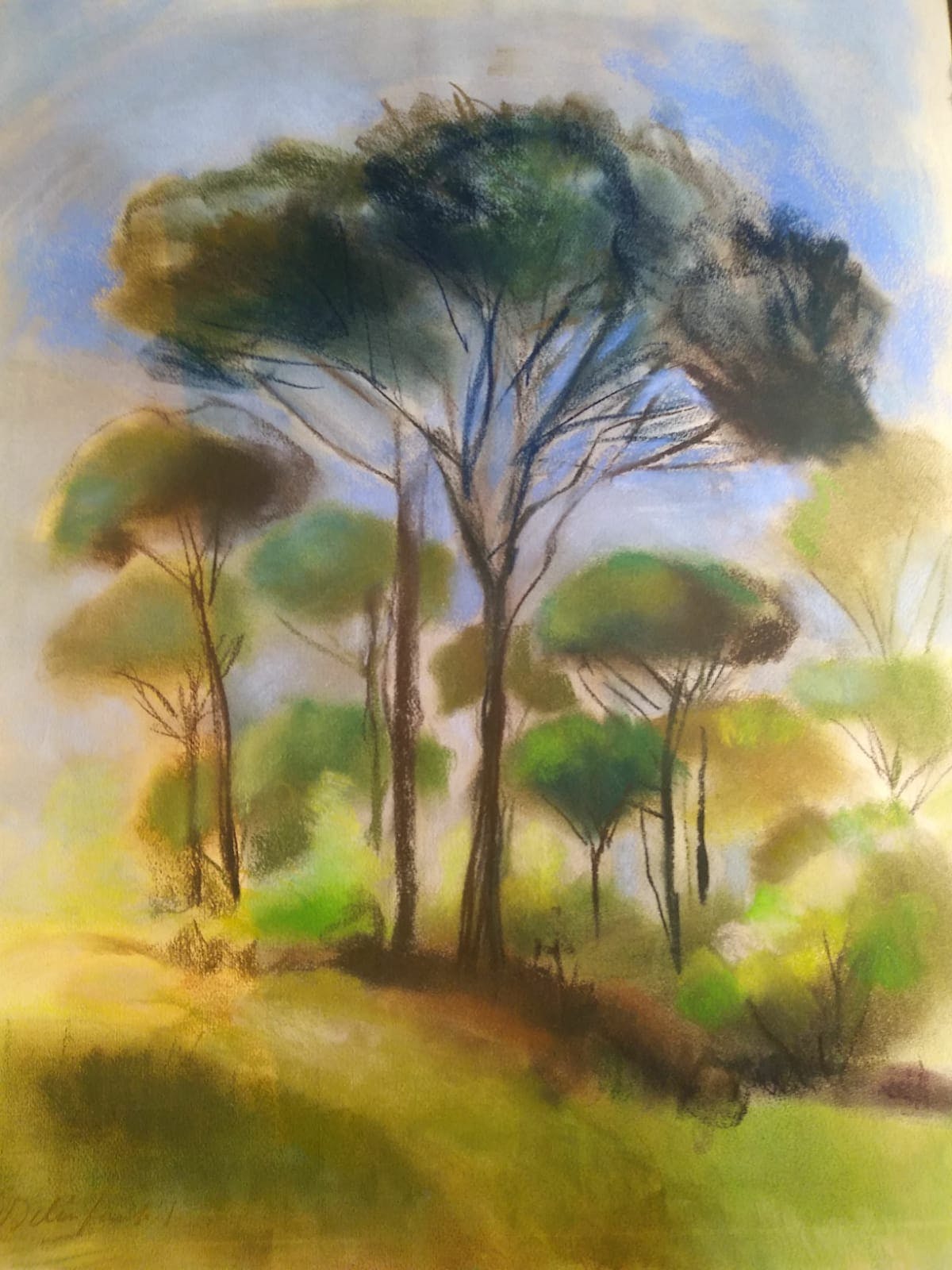 Willy Belinfante-Sauerbier - bomen in landschap, pasteltekening kopen? Bied vanaf 10!