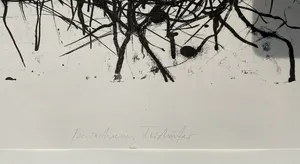 Max Uhlig - Bewachsenes Teichufer kopen? Bied vanaf 90!