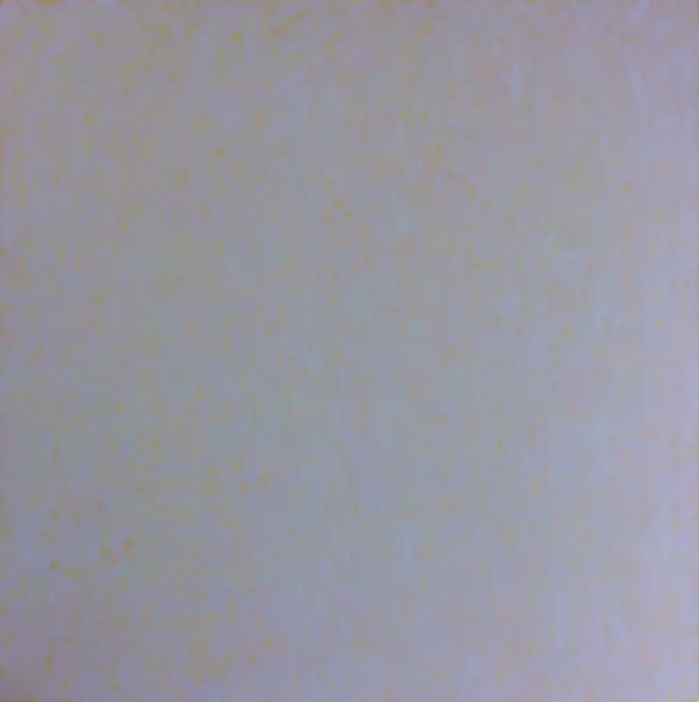 Hendri van der Putten (1940)