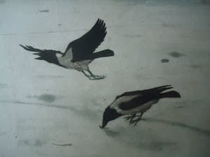 Tjeerd Bottema - bonte kraaien op het ijs- molen met hondenkar en knotwilgen kopen? Bied vanaf 40!