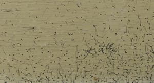 Franscz Witte - Pentekening, Burengerucht - Ingelijst (Groot) kopen? Bied vanaf 1!