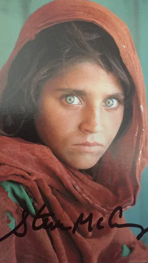 Steve McCurry - Afghan Girl (Sharbat Gula),- Refugee Camp, Pakistan, 1984, kopen? Bied vanaf 200!
