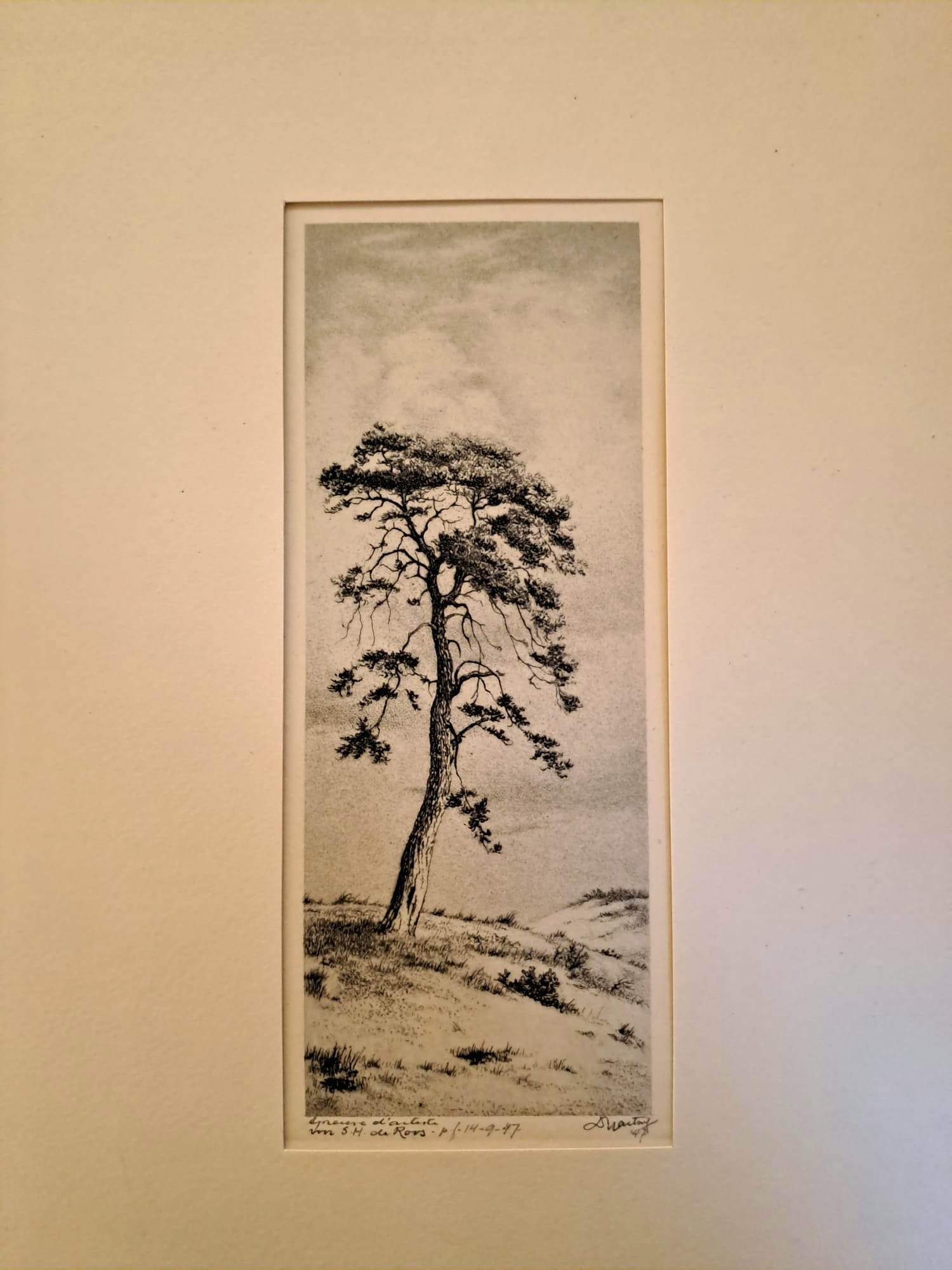 Dirk Harting - 'Boom' kopen? Bied vanaf 20!