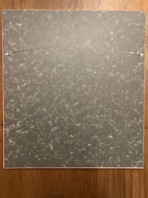 Theo Wolvecamp - dansers kopen? Bied vanaf 125!