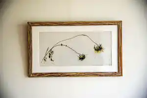 Maria Hofker - Rueter - 1902-1999 verkocht voor € 150!