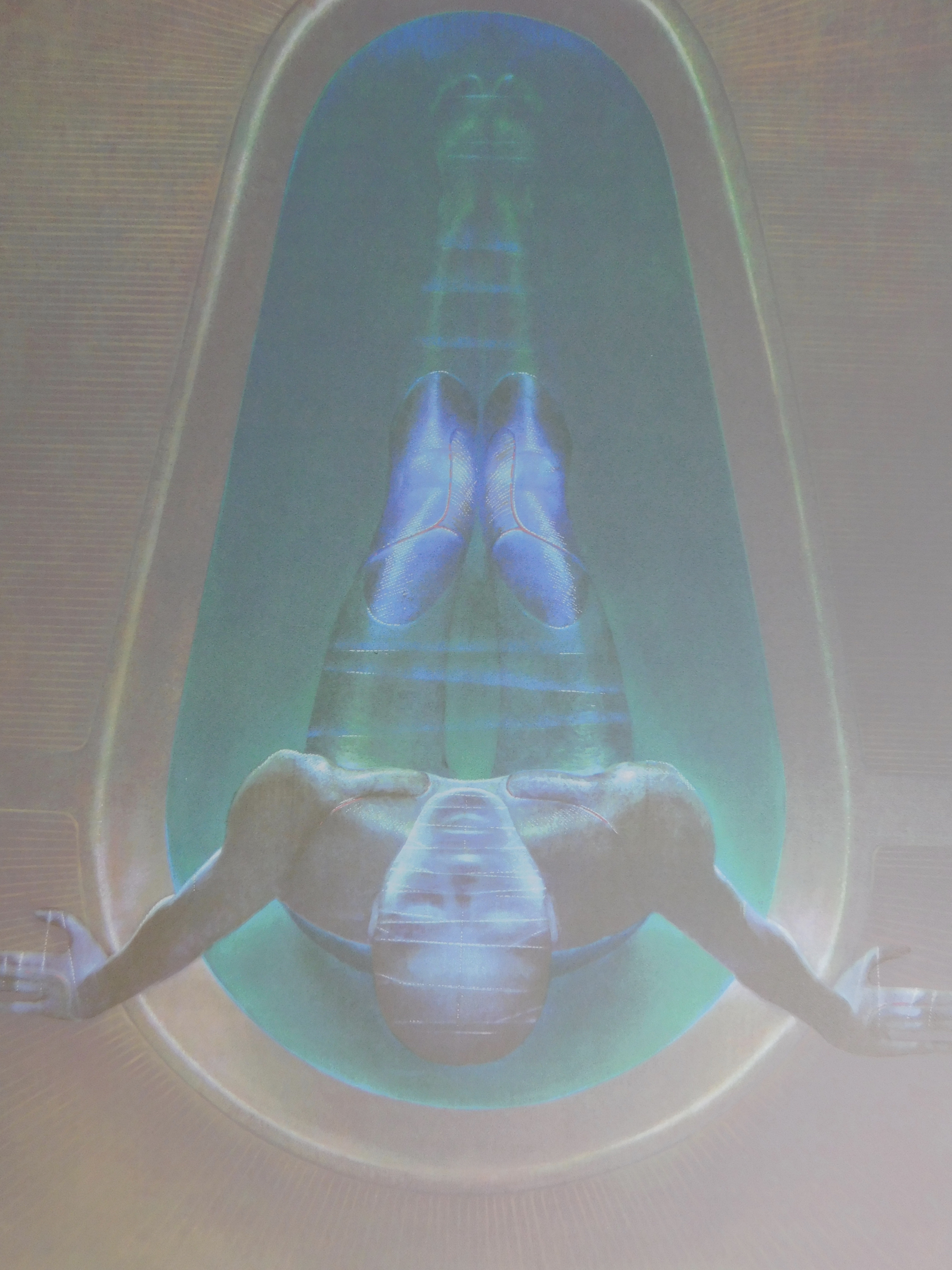 Michel Henricot - La Dame dans le Bain kopen? Bied vanaf 30!