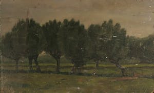 Pieter Haan - Olieverf op board, Lot van twee boslandschappen kopen? Bied vanaf 1!