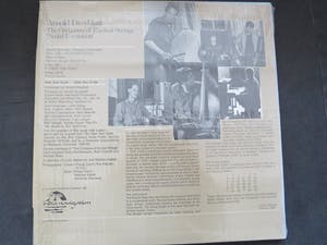 Arnold Dreyblatt - Nodal Excitation kopen? Bied vanaf 25!