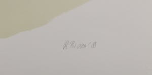 Rob Birza - Litho, Zonder titel - Ingelijst (Groot) kopen? Bied vanaf 1!