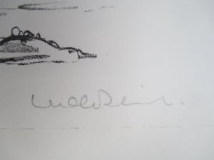 Dirkje Kuik - Litho "Vergezicht" kopen? Bied vanaf 45!