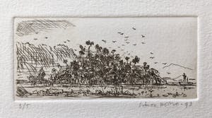 Simon Koene - Tropisch eiland kopen? Bied vanaf 10!