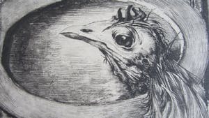 Hans van Dokkum - Ets met kip kopen? Bied vanaf 10!