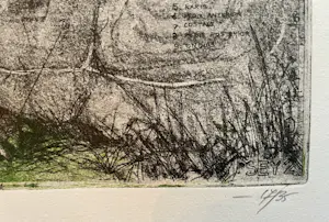 Rolf Weijburg - Testudo Gigantea at-baie Sainte Anne kopen? Bied vanaf 75!